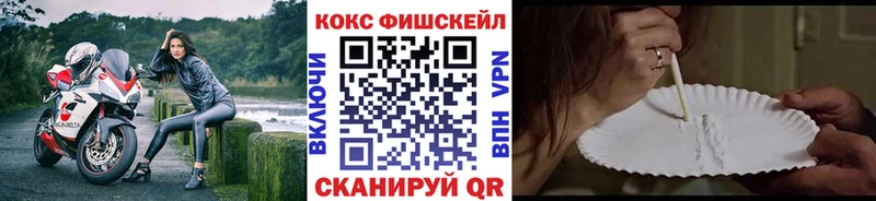 Cocaine FishScale  Купить  Бирюсинск 