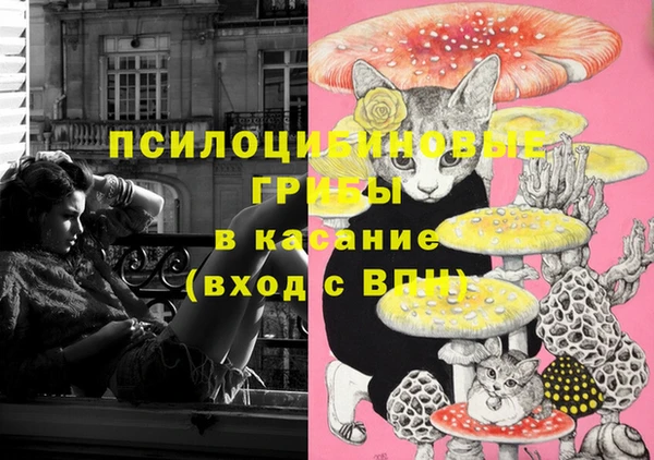 ПСИЛОЦИБИНОВЫЕ ГРИБЫ Балабаново