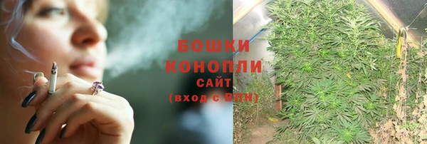 ПСИЛОЦИБИНОВЫЕ ГРИБЫ Балабаново